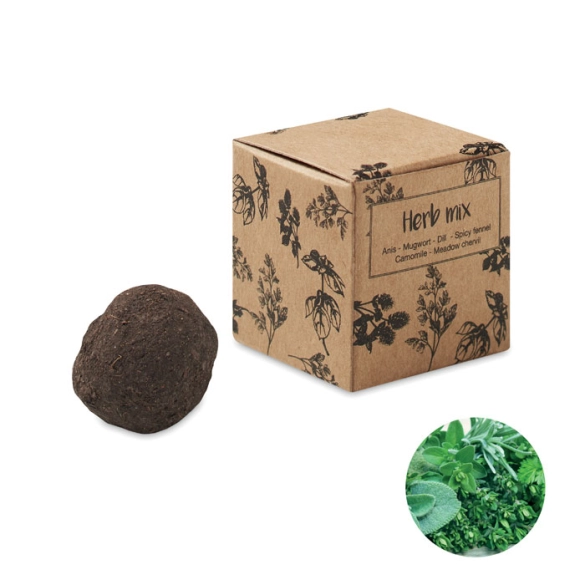 BOMBI III, Bombe de graines d'herbes front