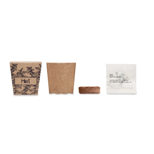 MINT KIT, Kit de graines de menthe