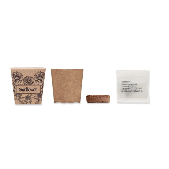 SUNFLOWER KIT, Kit de tournesol