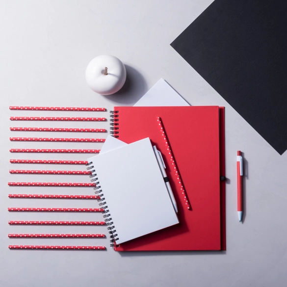 Cahier Tecnar