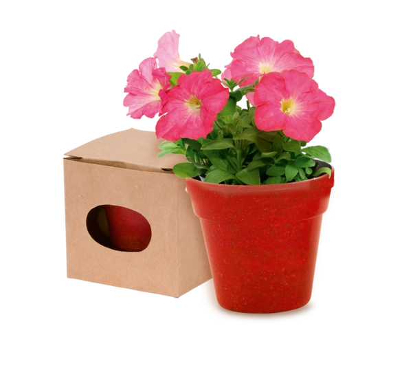 Pot de Fleurs Advert