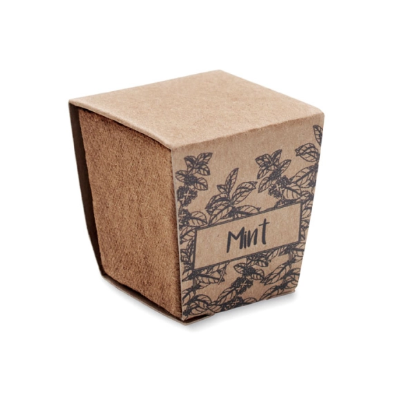 MINT KIT, Kit de graines de menthe