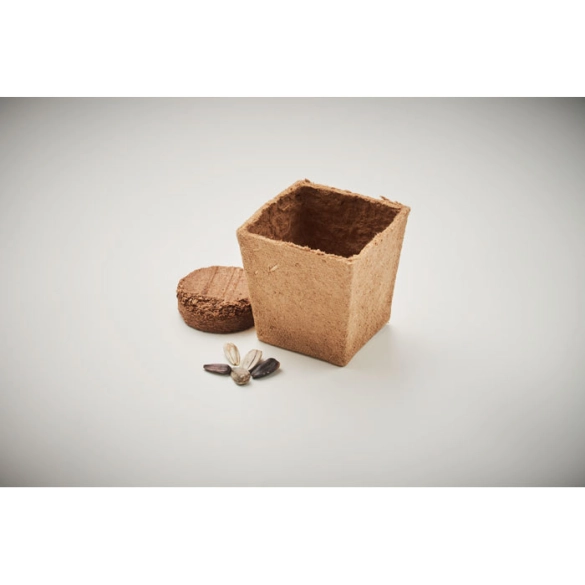 SUNFLOWER KIT, Kit de tournesol
