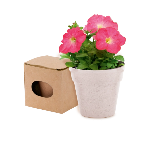 Pot de Fleurs Advert