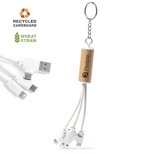 Câble de Charge Feildin