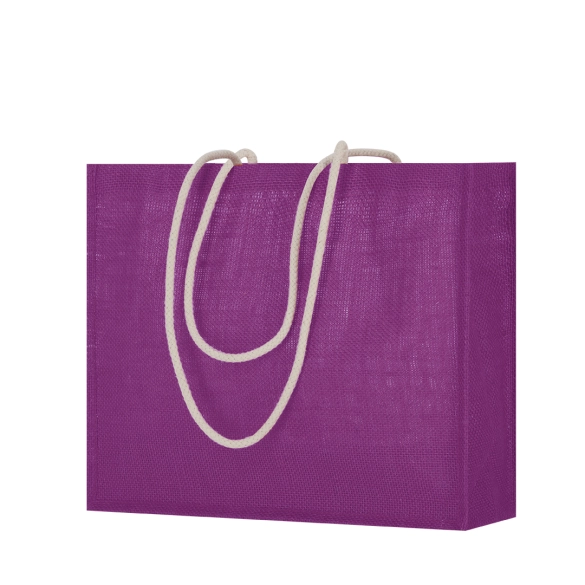 Sac Hintol
