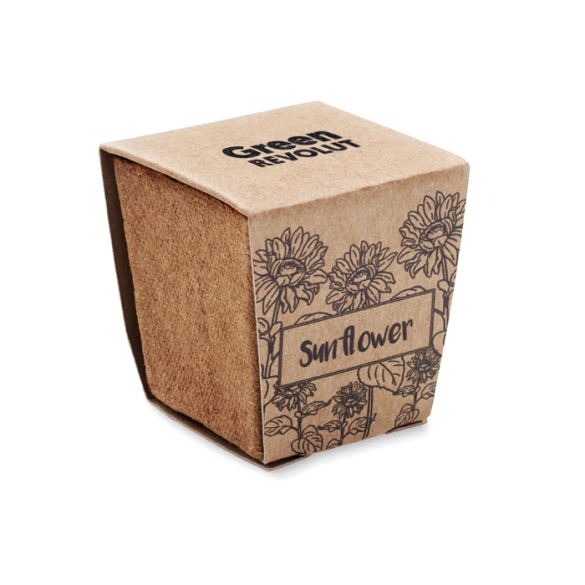 SUNFLOWER KIT, Kit de tournesol
