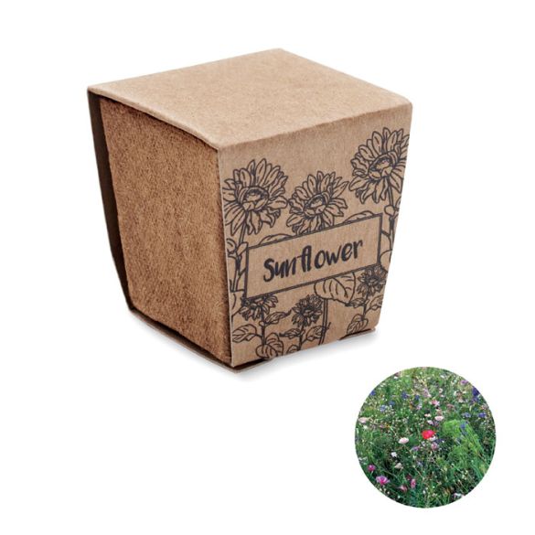 SUNFLOWER KIT, Kit de tournesol