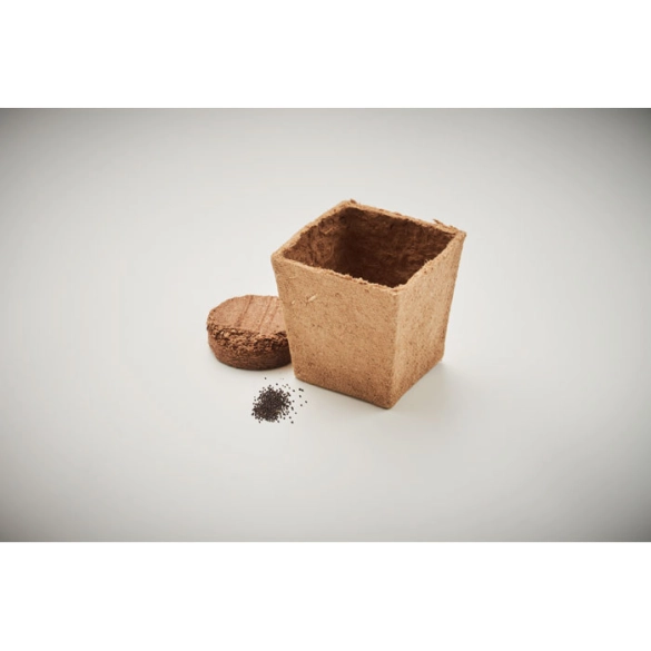 MINT KIT, Kit de graines de menthe