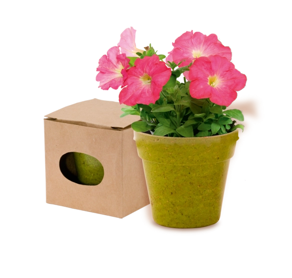 Pot de Fleurs Advert