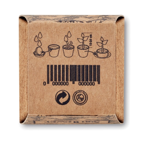 SUNFLOWER KIT, Kit de tournesol